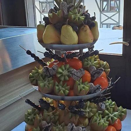 Hotel Srebrna Lisica